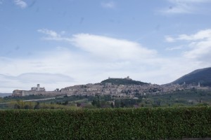 Assisi-17-04-15-0 